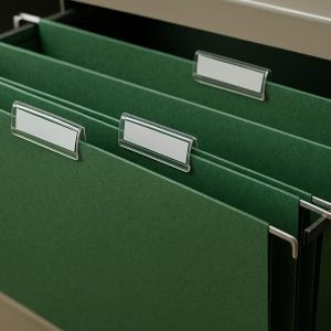 19 Hanging File Folders with Plastic Tabs for Filing Cabinet